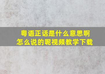 粤语正话是什么意思啊怎么说的呢视频教学下载