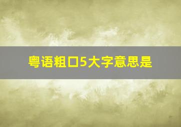 粤语粗口5大字意思是