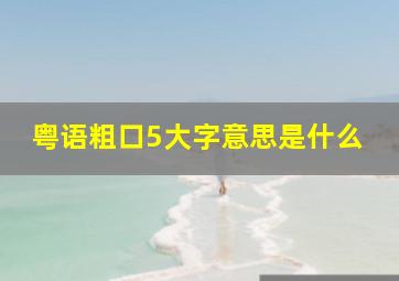 粤语粗口5大字意思是什么