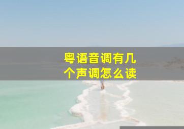 粤语音调有几个声调怎么读