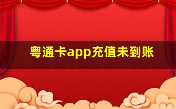 粤通卡app充值未到账