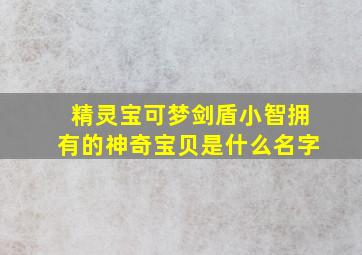 精灵宝可梦剑盾小智拥有的神奇宝贝是什么名字