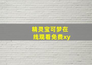 精灵宝可梦在线观看免费xy