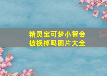 精灵宝可梦小智会被换掉吗图片大全