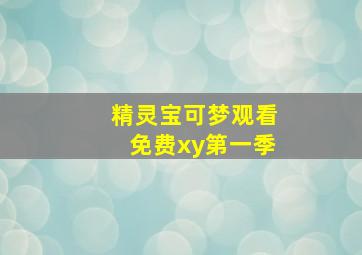 精灵宝可梦观看免费xy第一季