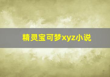 精灵宝可梦xyz小说