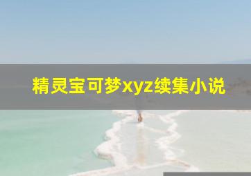 精灵宝可梦xyz续集小说