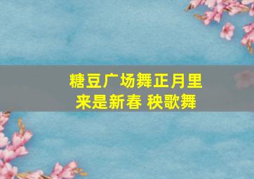 糖豆广场舞正月里来是新春 秧歌舞