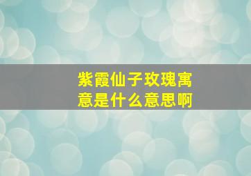 紫霞仙子玫瑰寓意是什么意思啊