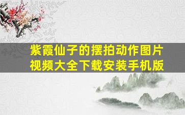 紫霞仙子的摆拍动作图片视频大全下载安装手机版