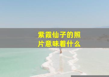 紫霞仙子的照片意味着什么