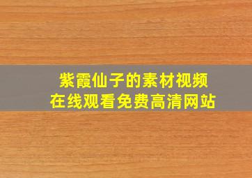 紫霞仙子的素材视频在线观看免费高清网站