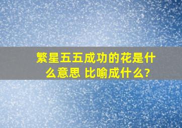 繁星五五成功的花是什么意思 比喻成什么?