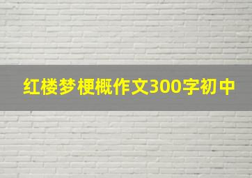 红楼梦梗概作文300字初中