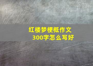 红楼梦梗概作文300字怎么写好