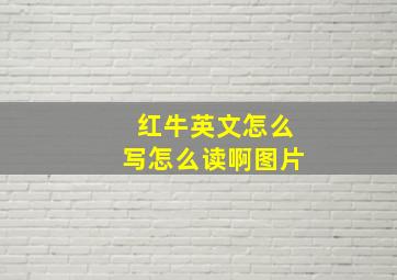 红牛英文怎么写怎么读啊图片