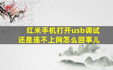 红米手机打开usb调试还是连不上网怎么回事儿