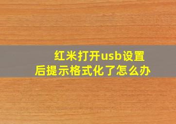 红米打开usb设置后提示格式化了怎么办