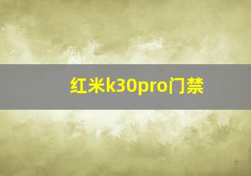 红米k30pro门禁