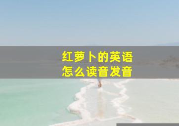 红萝卜的英语怎么读音发音