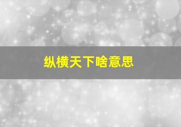 纵横天下啥意思