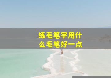 练毛笔字用什么毛笔好一点