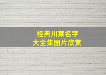 经典川菜名字大全集图片欣赏