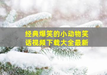 经典爆笑的小动物笑话视频下载大全最新