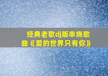 经典老歌dj版串烧歌曲《爱的世界只有你》