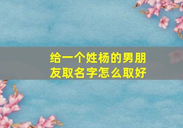 给一个姓杨的男朋友取名字怎么取好