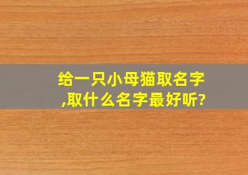 给一只小母猫取名字,取什么名字最好听?