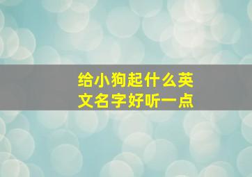 给小狗起什么英文名字好听一点