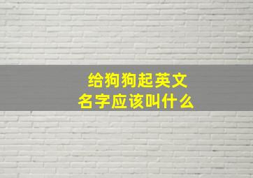 给狗狗起英文名字应该叫什么