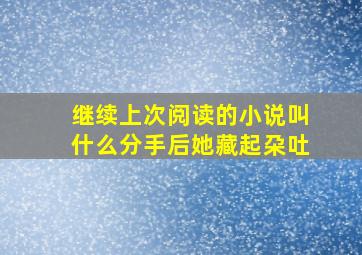 继续上次阅读的小说叫什么分手后她藏起朶吐