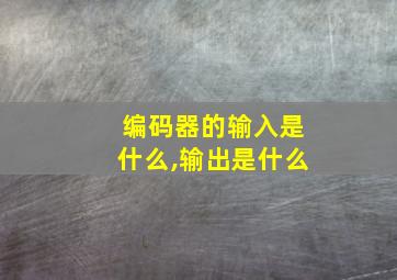 编码器的输入是什么,输出是什么