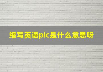 缩写英语pic是什么意思呀