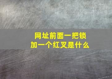 网址前面一把锁加一个红叉是什么