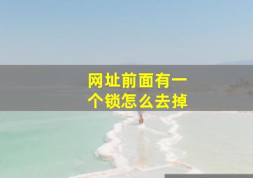 网址前面有一个锁怎么去掉