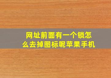 网址前面有一个锁怎么去掉图标呢苹果手机