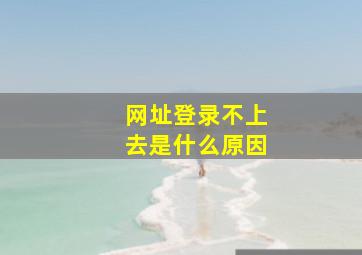 网址登录不上去是什么原因