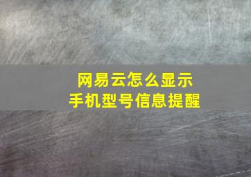 网易云怎么显示手机型号信息提醒