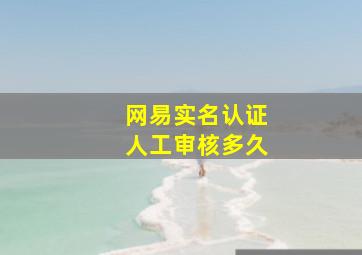 网易实名认证人工审核多久