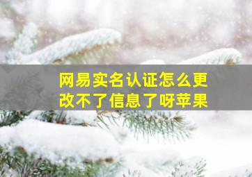 网易实名认证怎么更改不了信息了呀苹果