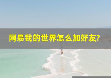 网易我的世界怎么加好友?