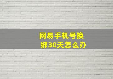 网易手机号换绑30天怎么办