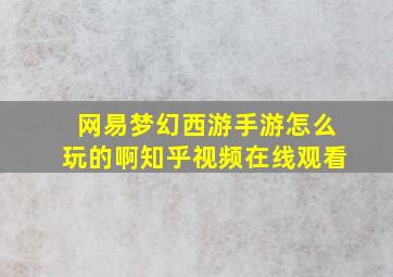 网易梦幻西游手游怎么玩的啊知乎视频在线观看