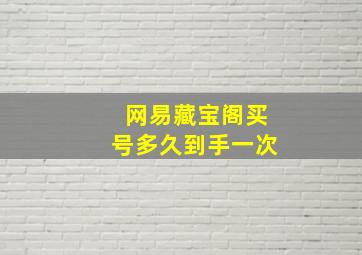 网易藏宝阁买号多久到手一次