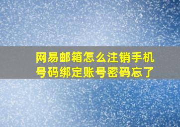 网易邮箱怎么注销手机号码绑定账号密码忘了