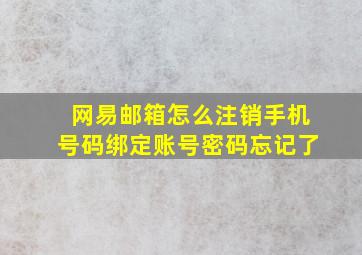 网易邮箱怎么注销手机号码绑定账号密码忘记了