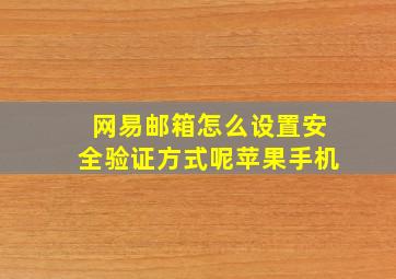 网易邮箱怎么设置安全验证方式呢苹果手机